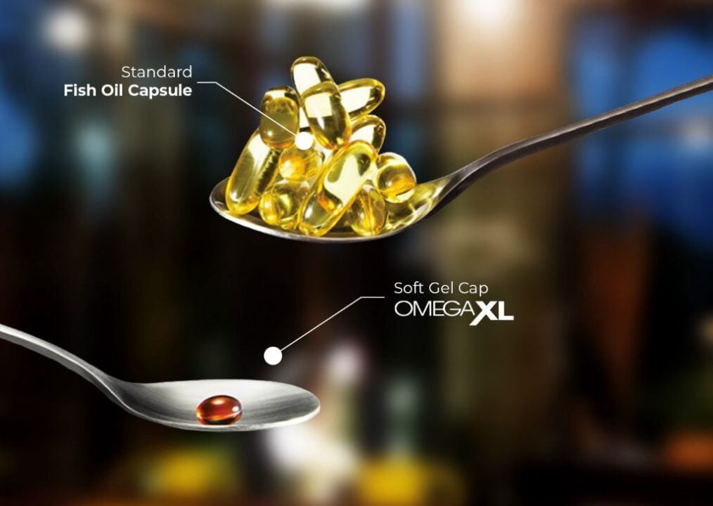 Standard Fish Oil Capsule vs Soft Gel Cap OmegaXL